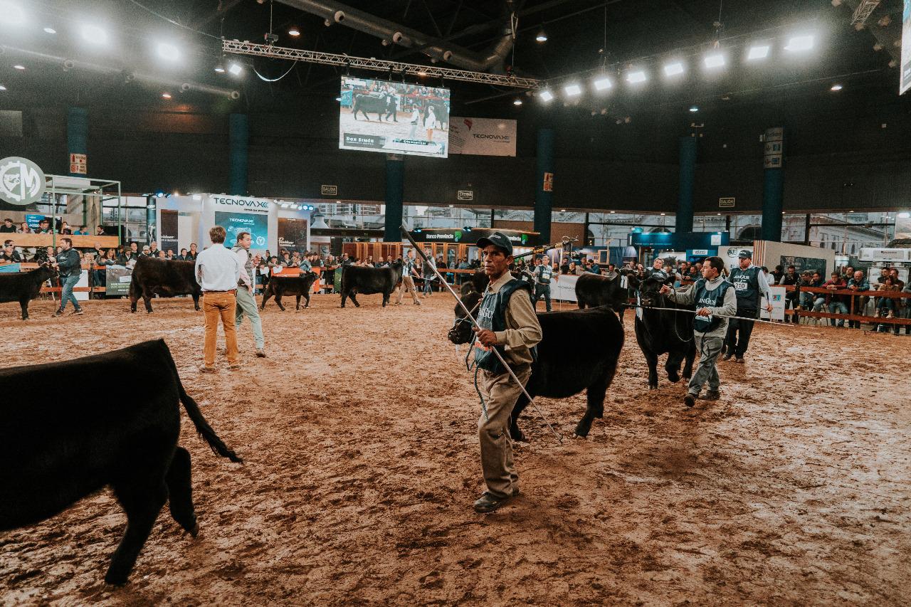 WhatsApp Image 2024-03-21 at 08.34.57