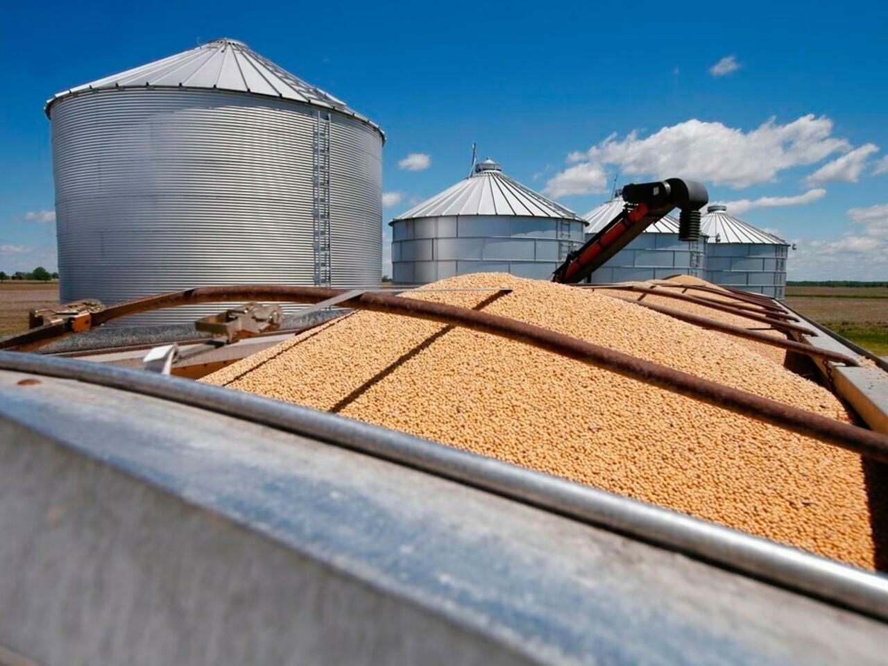 WhatsApp Image 2023-09-04 at 9.54.16 AM