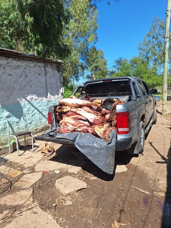 WhatsApp Image 2025-01-02 at 20.22.31