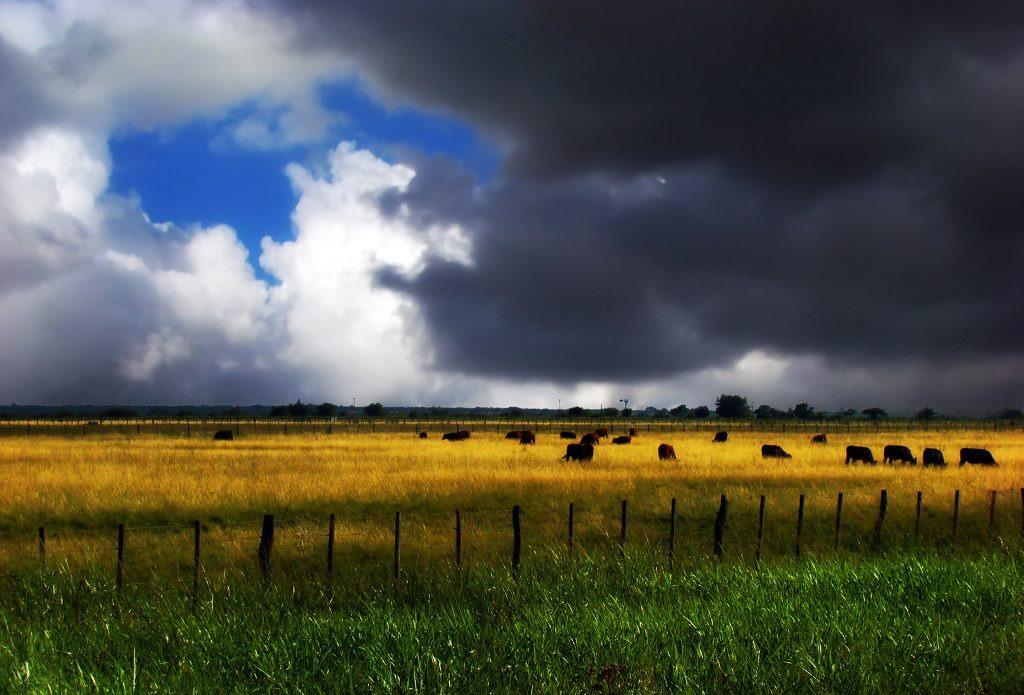 WhatsApp Image 2023-11-28 at 10.08.51