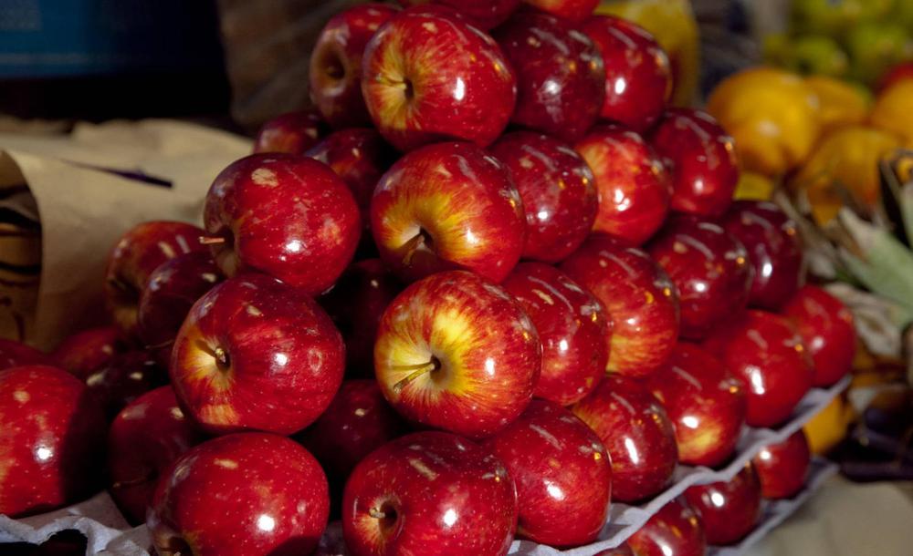 WhatsApp Image 2024-01-22 at 13.35.42