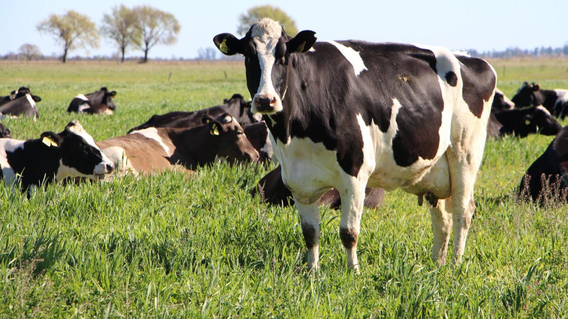 WhatsApp Image 2023-08-15 at 8.18.58 AM