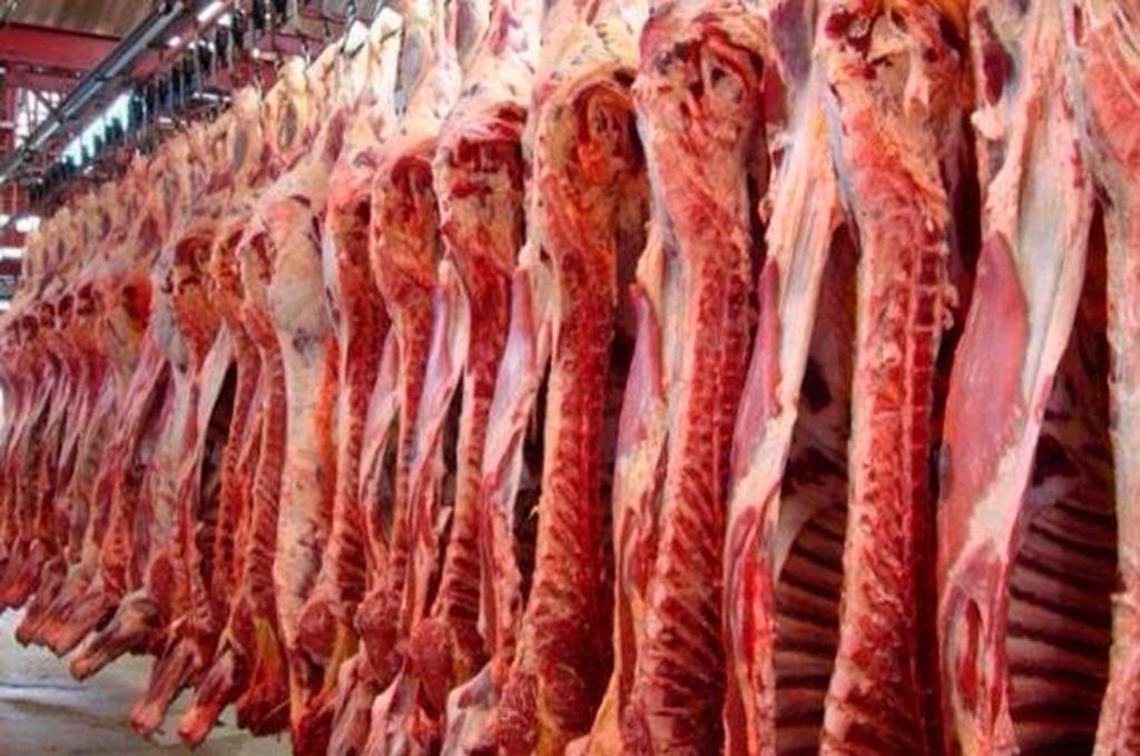 carne