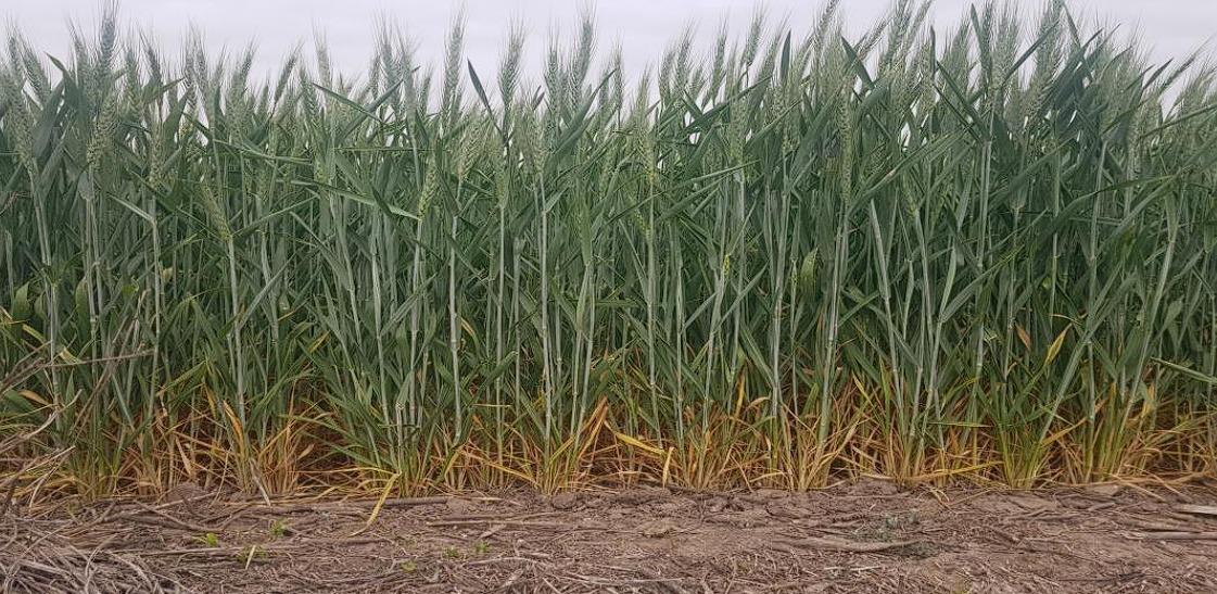 WhatsApp Image 2023-09-20 at 8.42.50 AM