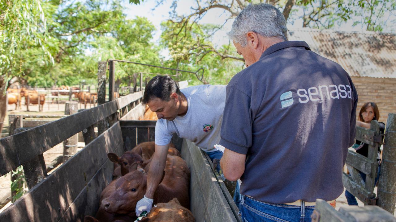 WhatsApp Image 2024-02-26 at 17.12.51