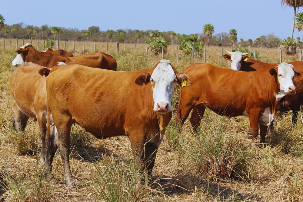 WhatsApp Image 2023-11-08 at 16.11.20