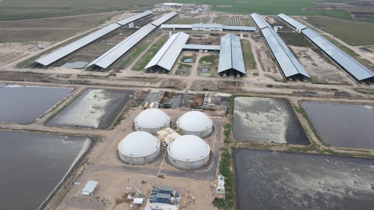 WhatsApp Image 2024-04-09 at 09.48.13