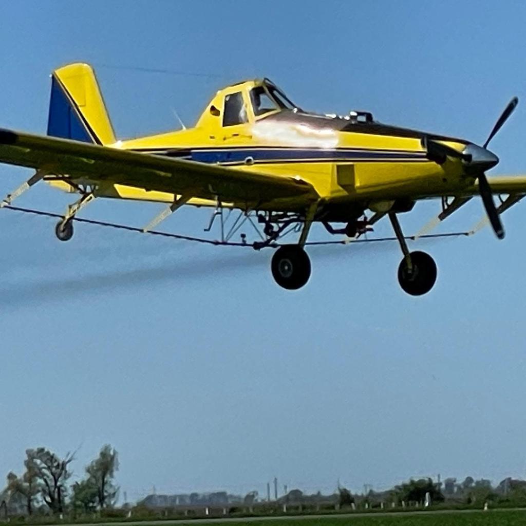 WhatsApp Image 2024-02-15 at 13.02.36