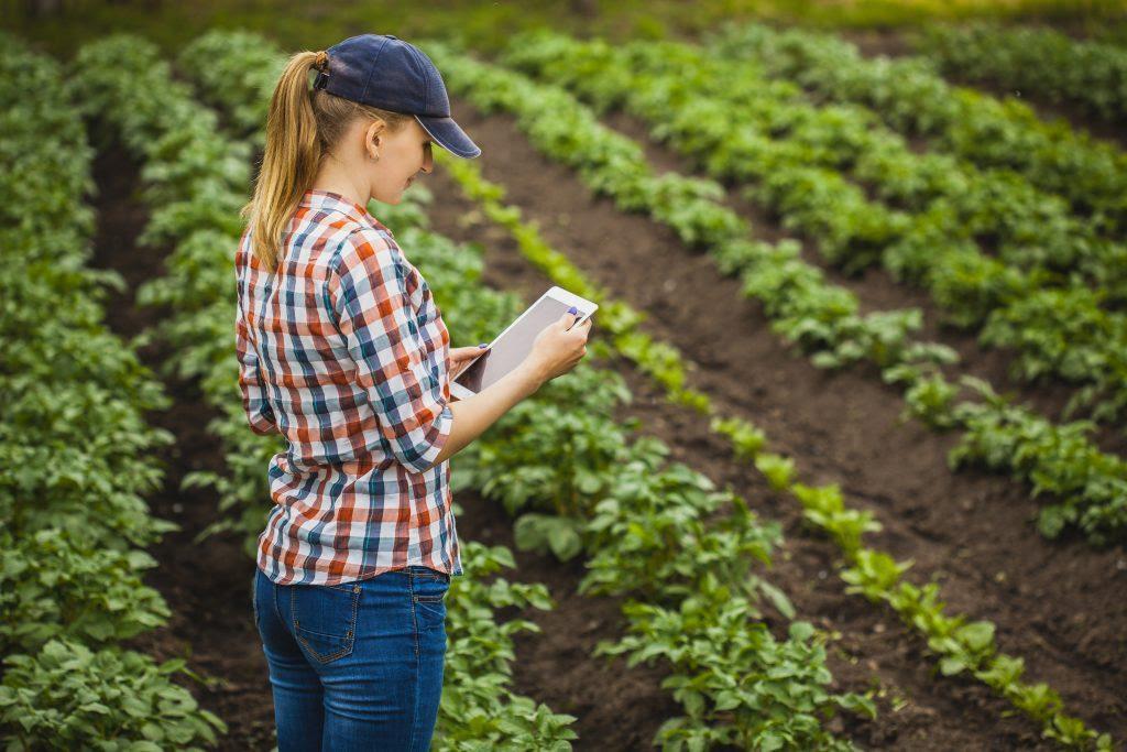 WhatsApp Image 2023-08-17 at 6.44.41 PM