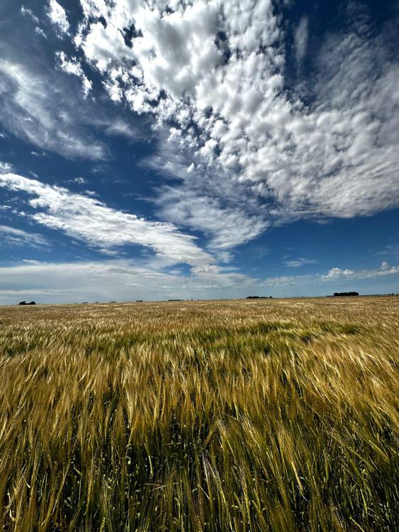 WhatsApp Image 2024-05-09 at 09.38.56