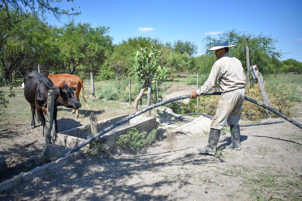 WhatsApp Image 2023-09-19 at 6.56.39 PM