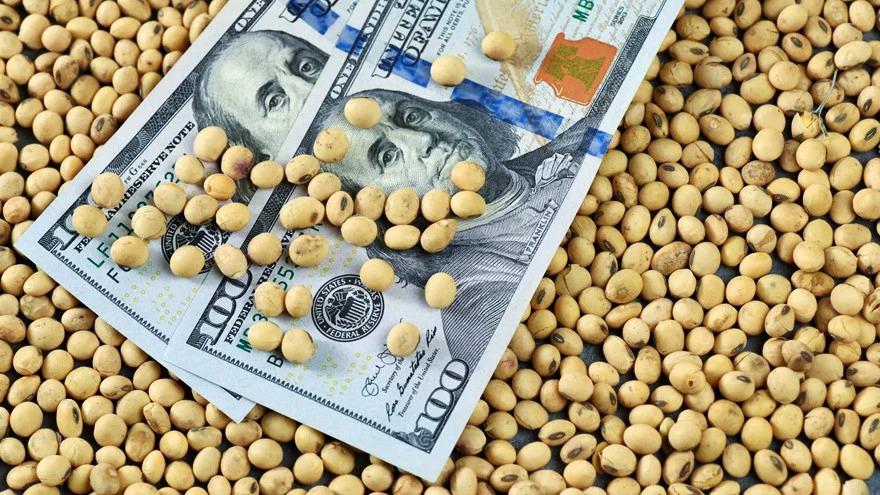 WhatsApp Image 2023-10-02 at 2.55.20 PM