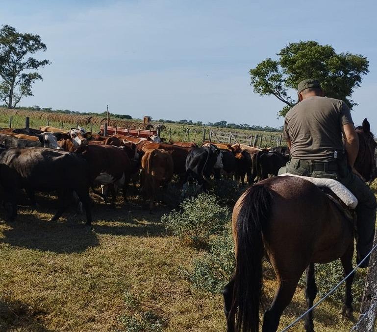 WhatsApp Image 2024-02-09 at 14.46.37 (1)