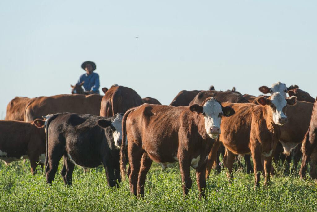 WhatsApp Image 2023-08-10 at 12.36.22 PM