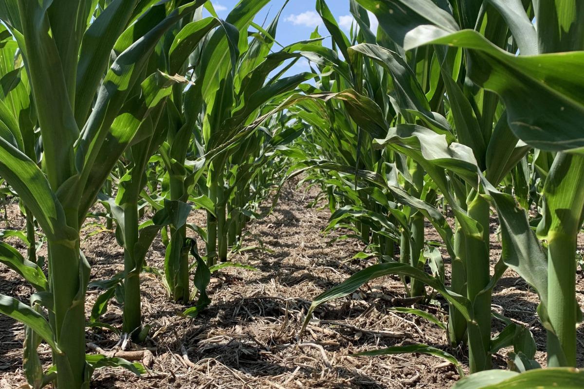 WhatsApp Image 2023-10-25 at 08.14.35