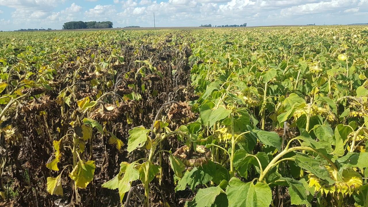 WhatsApp Image 2023-09-19 at 8.02.39 AM