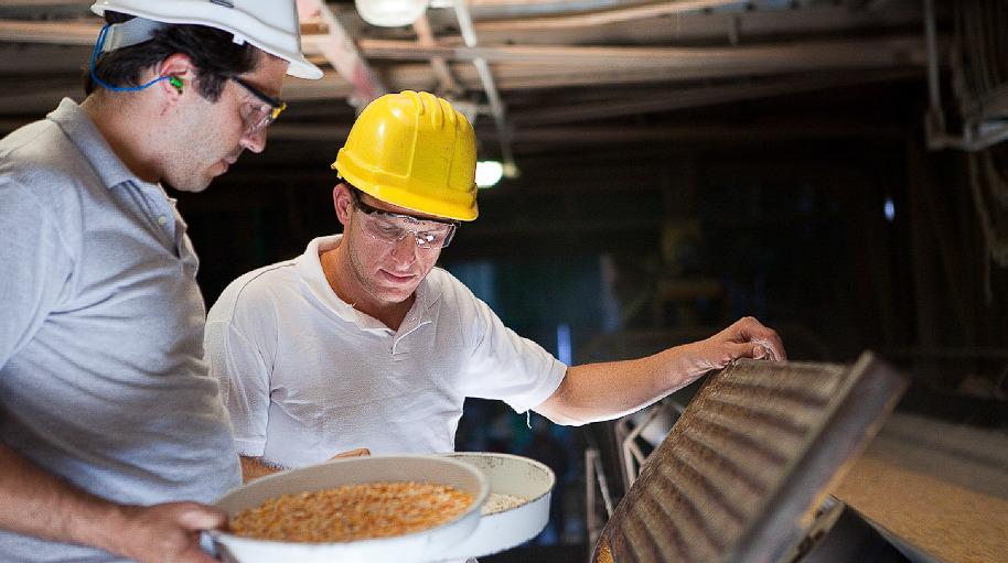 WhatsApp Image 2024-04-11 at 08.29.15