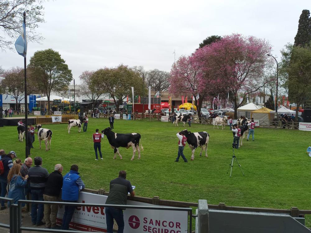 WhatsApp Image 2023-09-23 at 12.15.20 PM