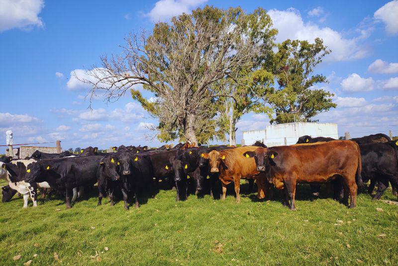 WhatsApp Image 2023-08-01 at 3.03.35 PM