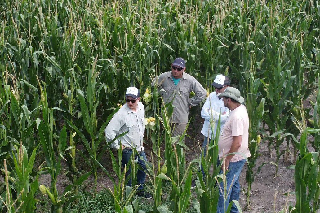 WhatsApp Image 2024-03-26 at 07.56.43