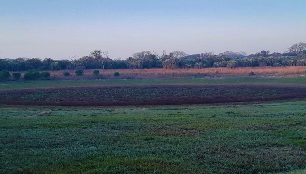 WhatsApp Image 2023-08-22 at 7.53.09 AM