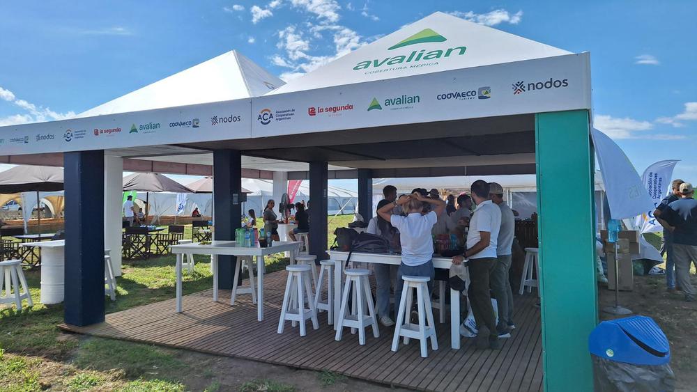 WhatsApp Image 2024-02-26 at 11.09.06