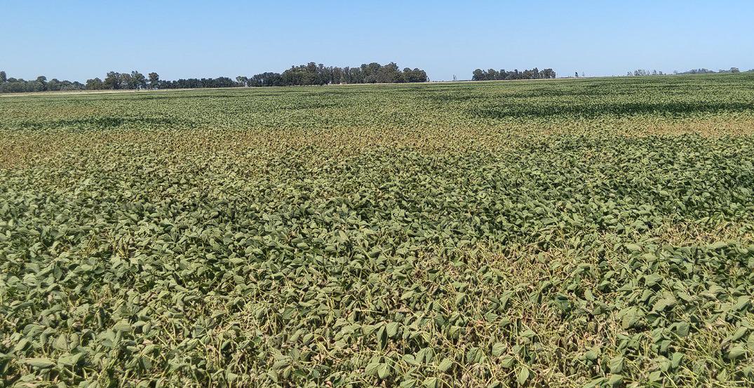 WhatsApp Image 2024-02-02 at 14.09.07