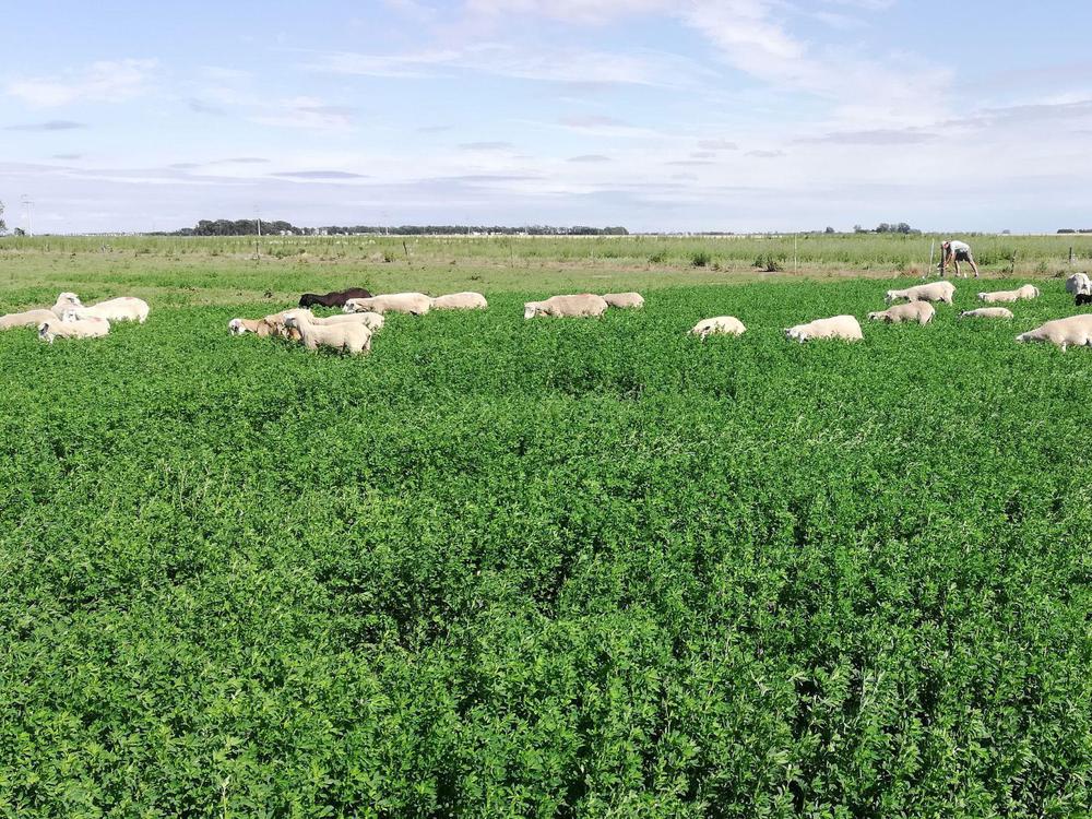 WhatsApp Image 2023-09-21 at 8.15.16 AM