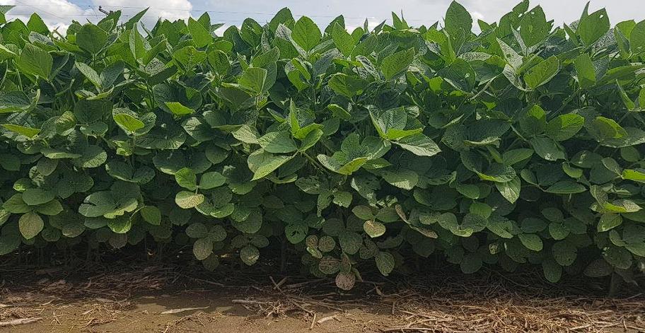 WhatsApp Image 2024-02-14 at 09.45.07 (1)