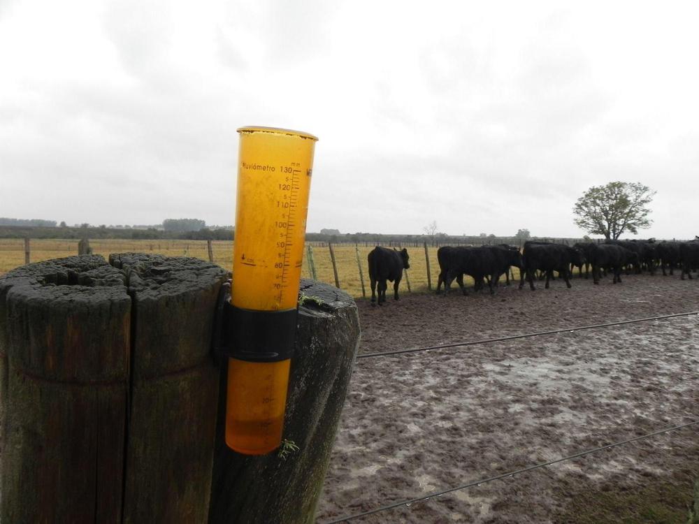 WhatsApp Image 2023-09-05 at 9.44.56 AM