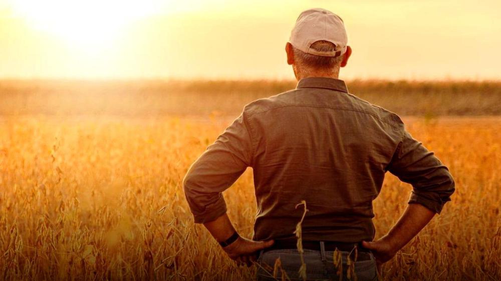 WhatsApp Image 2023-08-18 at 5.17.06 PM