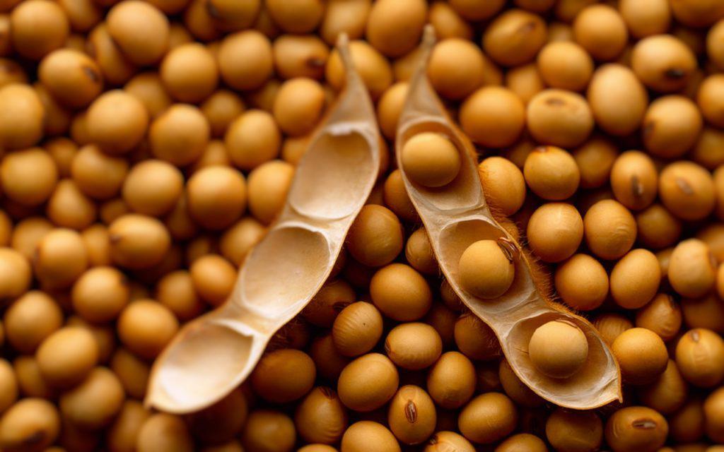 WhatsApp Image 2023-10-02 at 12.29.49 PM