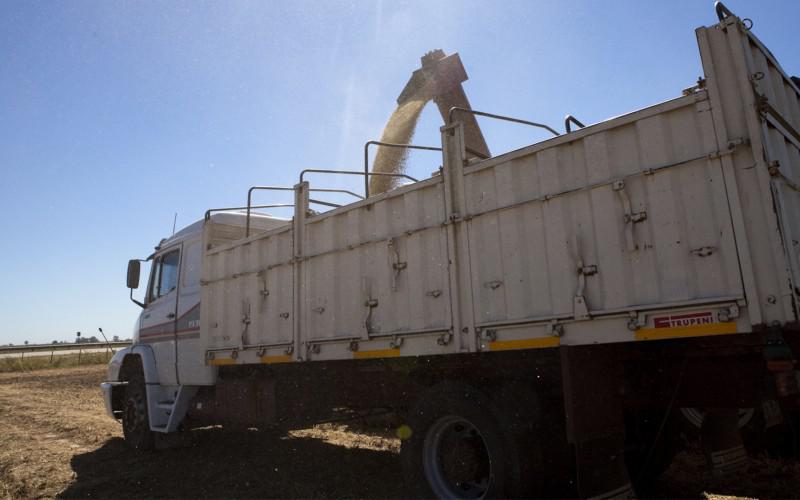 WhatsApp Image 2023-12-16 at 09.43.37