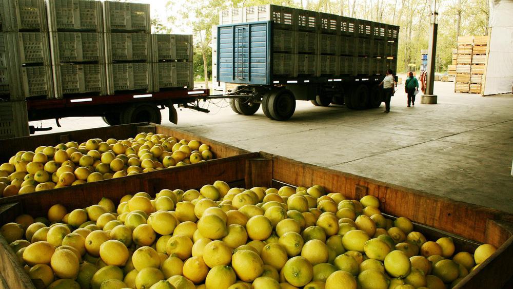 WhatsApp Image 2023-12-27 at 08.14.27