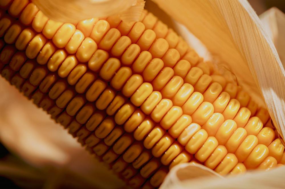 WhatsApp Image 2024-08-27 at 14.34.44 (2)