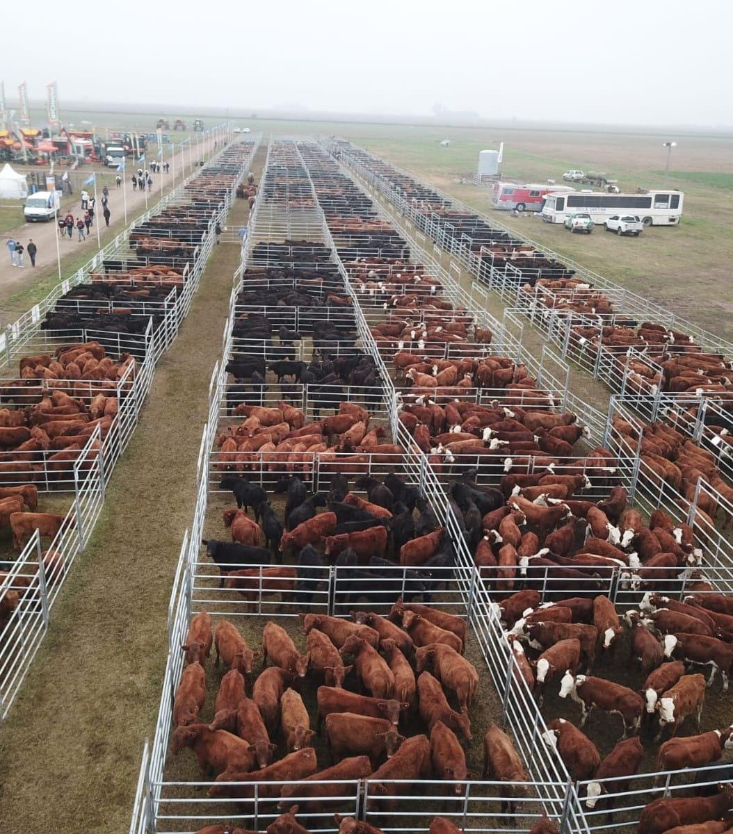 WhatsApp Image 2024-03-25 at 10.32.01