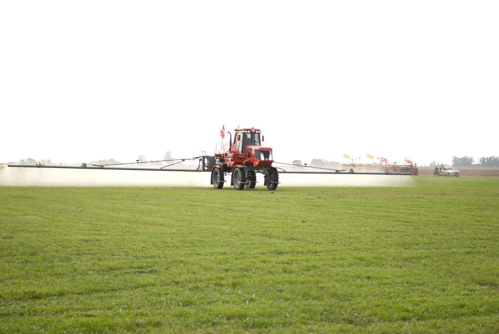 WhatsApp Image 2024-03-21 at 08.37.34