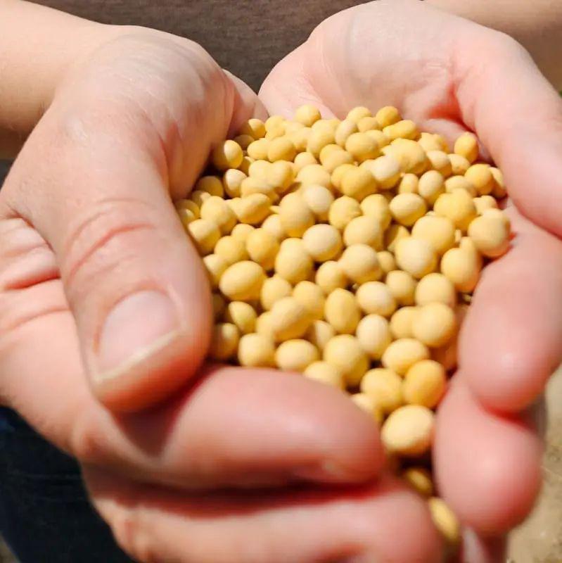 WhatsApp Image 2023-10-24 at 17.23.01