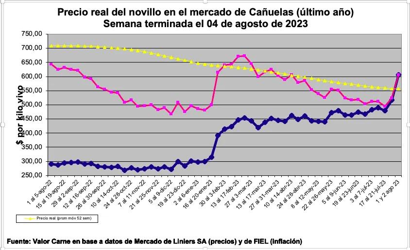 WhatsApp Image 2023-08-03 at 11.37.10 AM