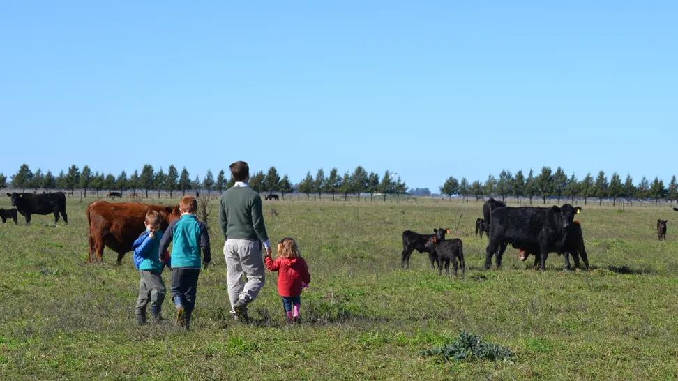 WhatsApp Image 2023-08-01 at 8.03.24 AM