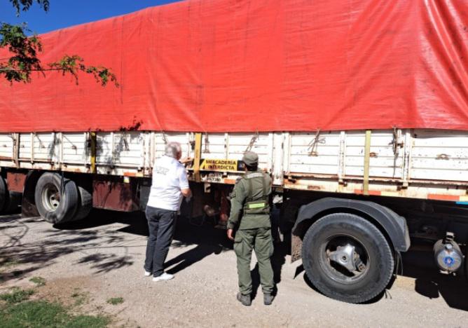 WhatsApp Image 2023-11-14 at 08.15.03