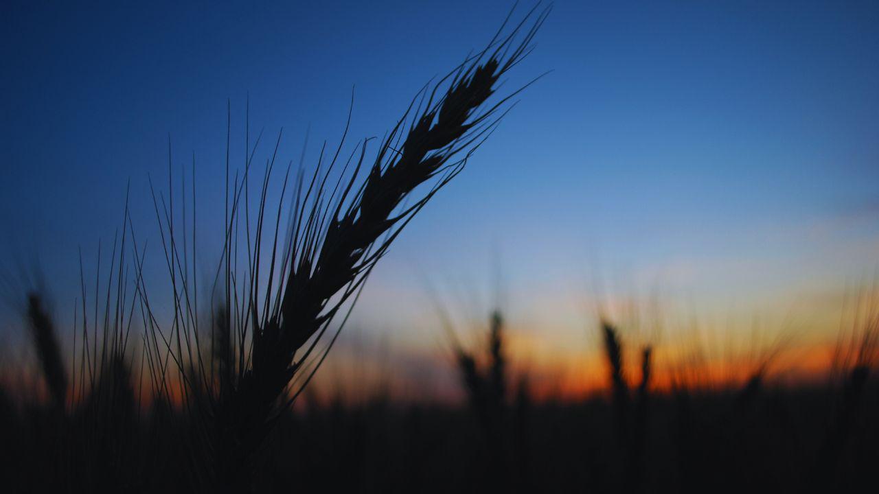 WhatsApp Image 2023-09-07 at 8.14.51 AM