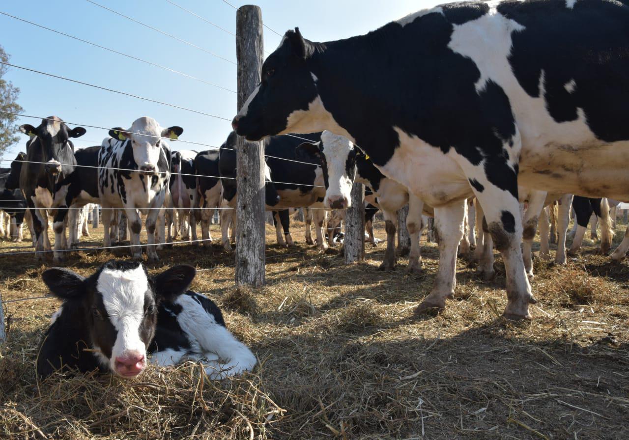 WhatsApp Image 2023-12-18 at 13.22.09