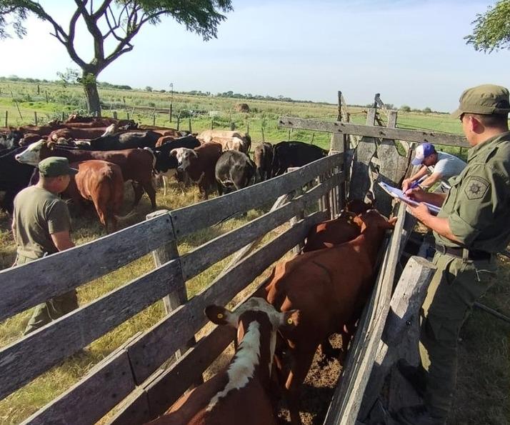 WhatsApp Image 2024-02-09 at 14.46.37