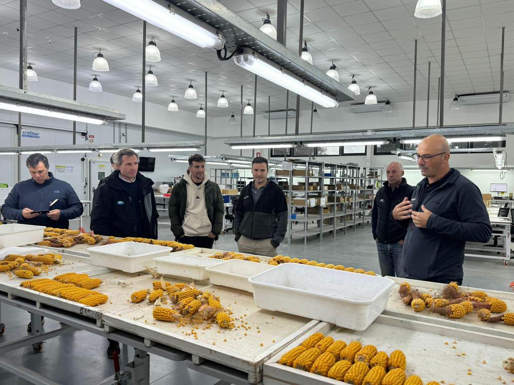 WhatsApp Image 2024-05-13 at 17.16.18