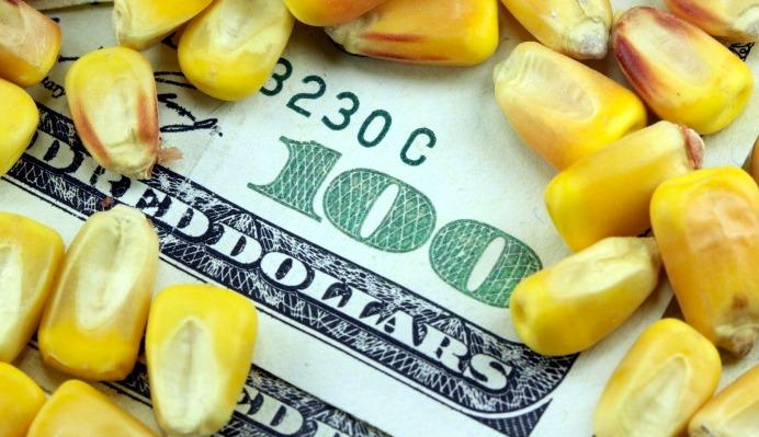 WhatsApp Image 2023-08-14 at 1.18.46 PM