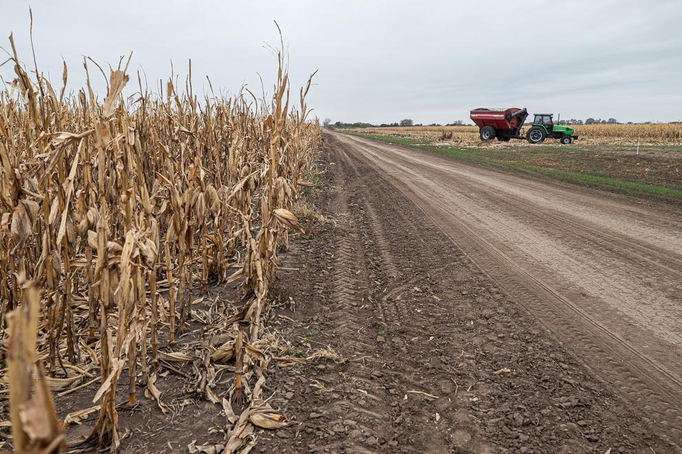 WhatsApp Image 2024-04-03 at 12.37.09 PM