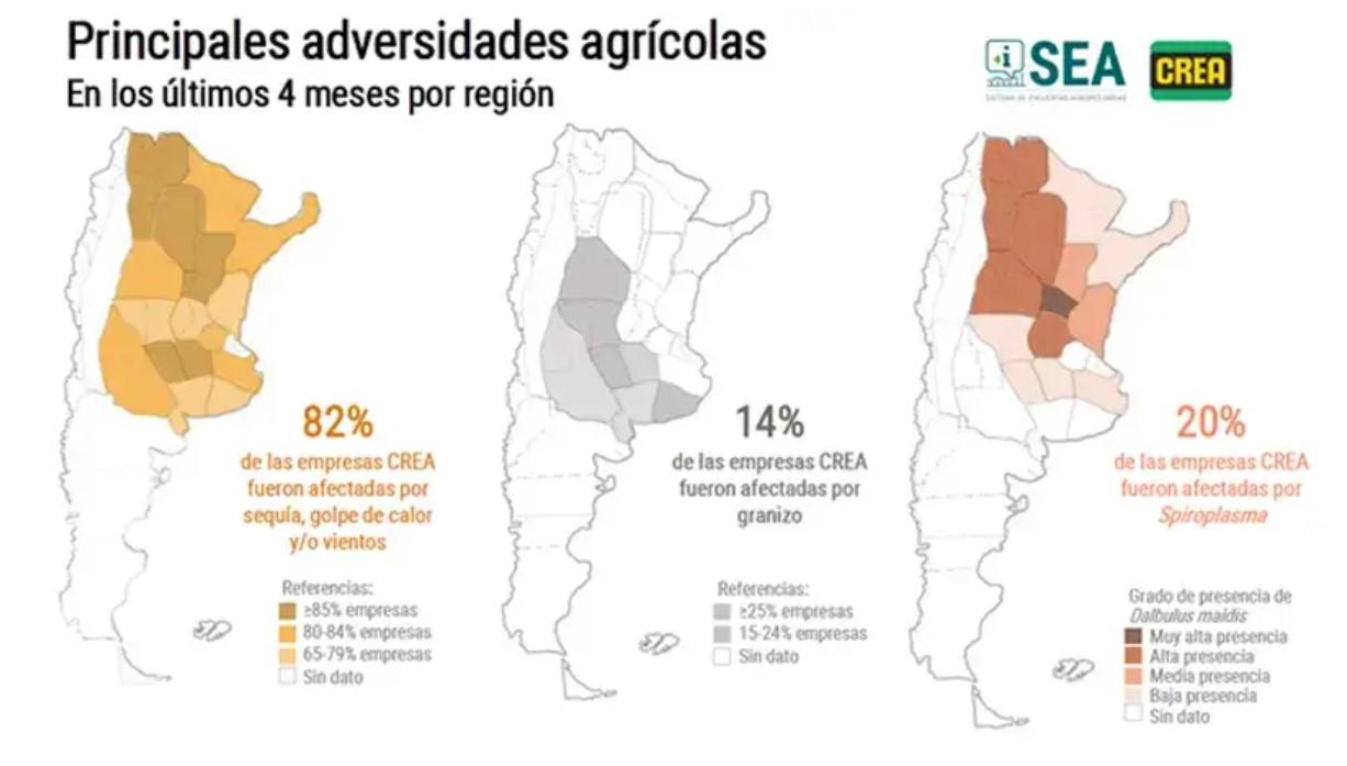 WhatsApp Image 2024-04-04 at 11.38.22 AM