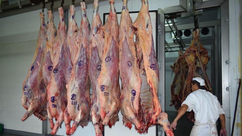 WhatsApp Image 2023-08-07 at 5.47.44 PM