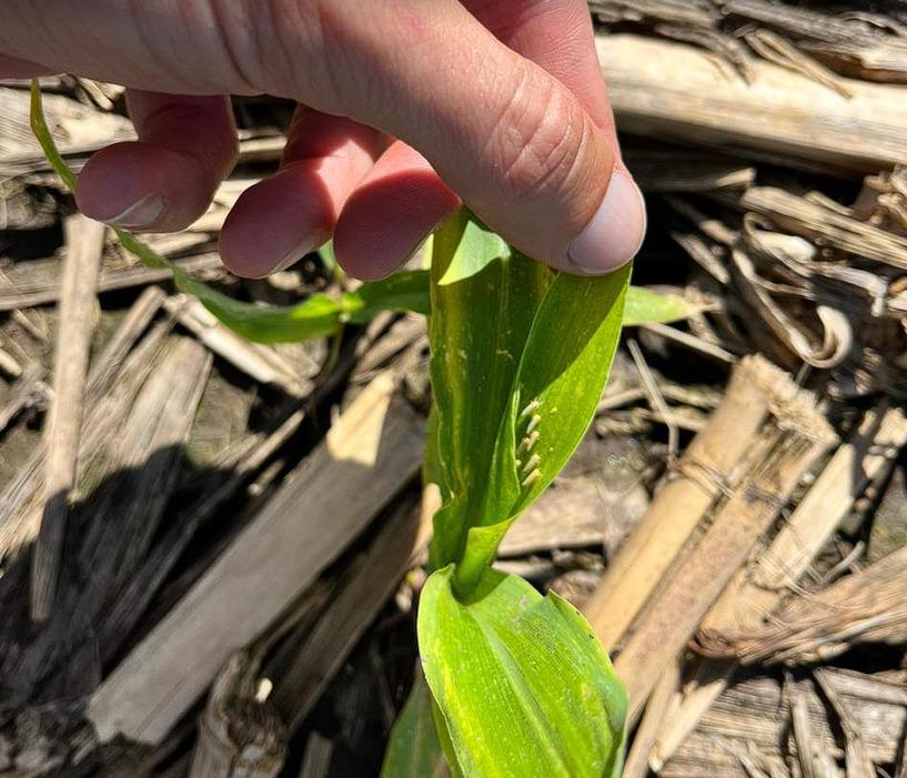 WhatsApp Image 2024-04-08 at 15.15.09